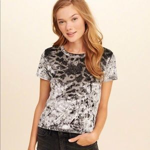 Hollister Velvet T-shirt